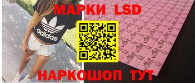 мяу мяу мука Будённовск