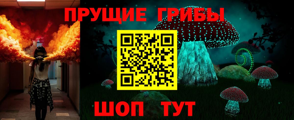 купить  сайты  Галлюциногенные грибы Cubensis  Вход с VPN  Сосновый Бор  Галлюциногенные грибы GOLDEN TEACHER 